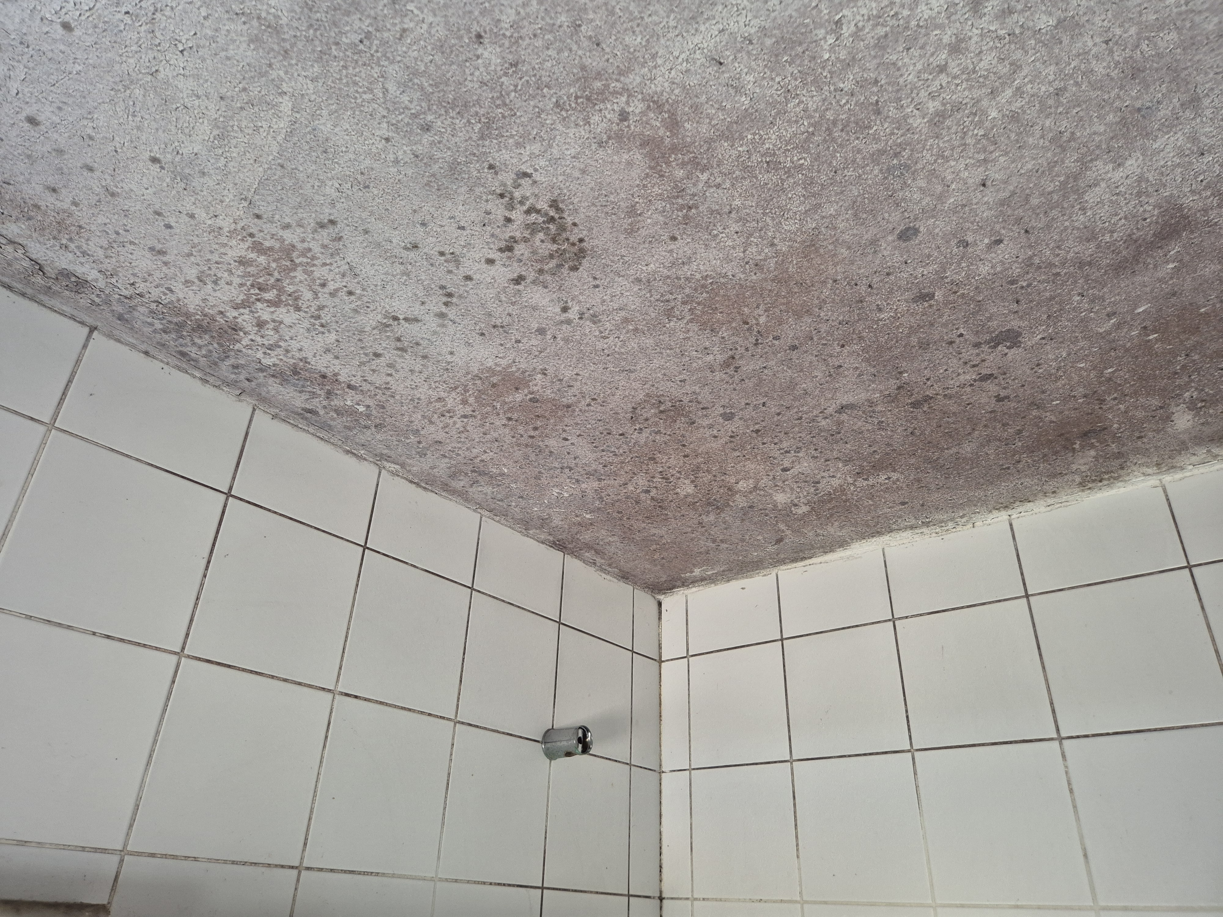 Diagnostic moisissures Haut-Rhin — moisissure sur un mur liée à l'humidité d'un logement